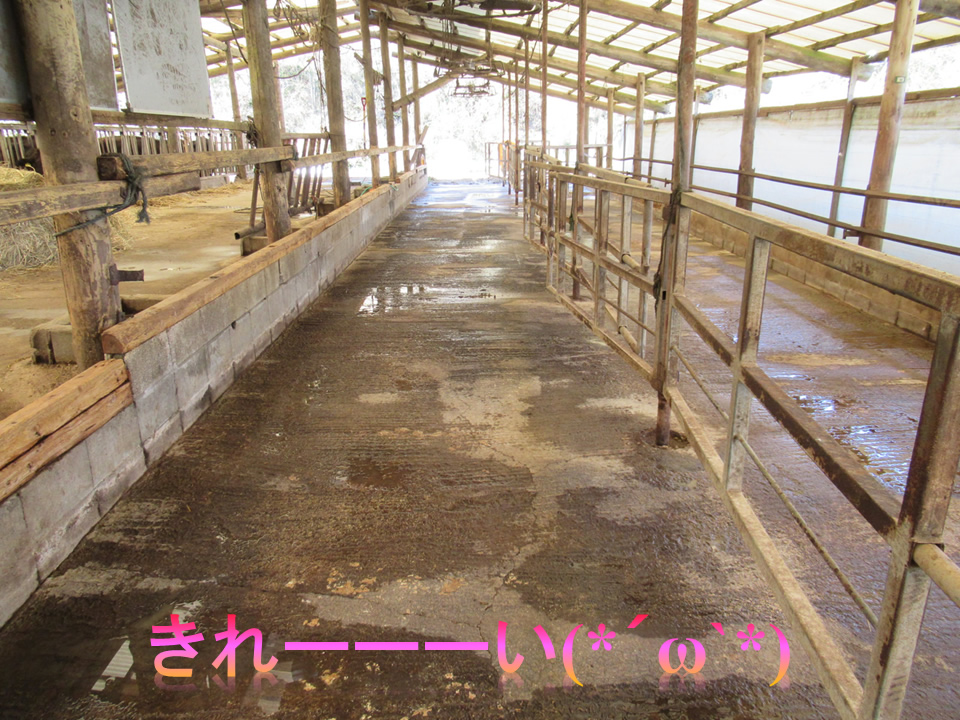 畜産用 ベース 600×900mm 52233 畜産 酪農 牧畜 産業動物 牛 豚 養豚 家畜 畜産用品 - 3